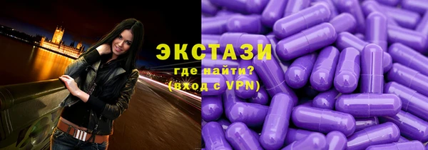 ECSTASY Богородицк