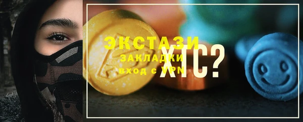 ECSTASY Богородицк