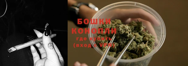 ECSTASY Богородицк